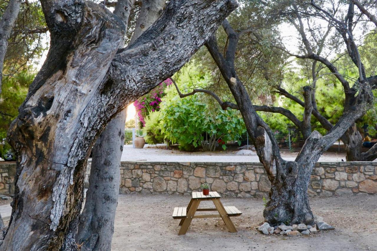 Pyrgos Ralli Estate Guesthouse Aegina Exterior foto