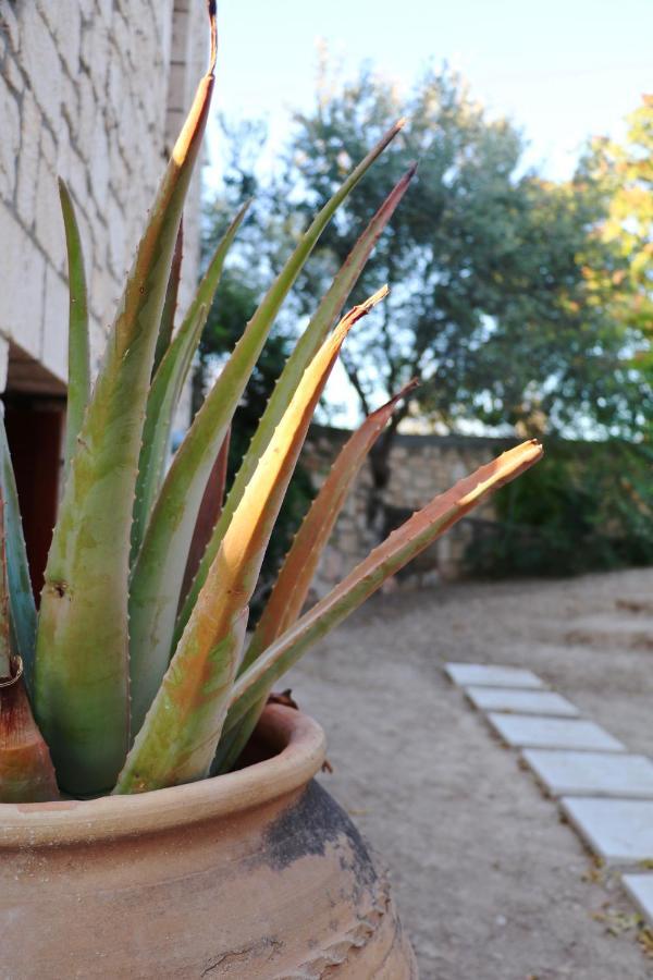 Pyrgos Ralli Estate Guesthouse Aegina Exterior foto
